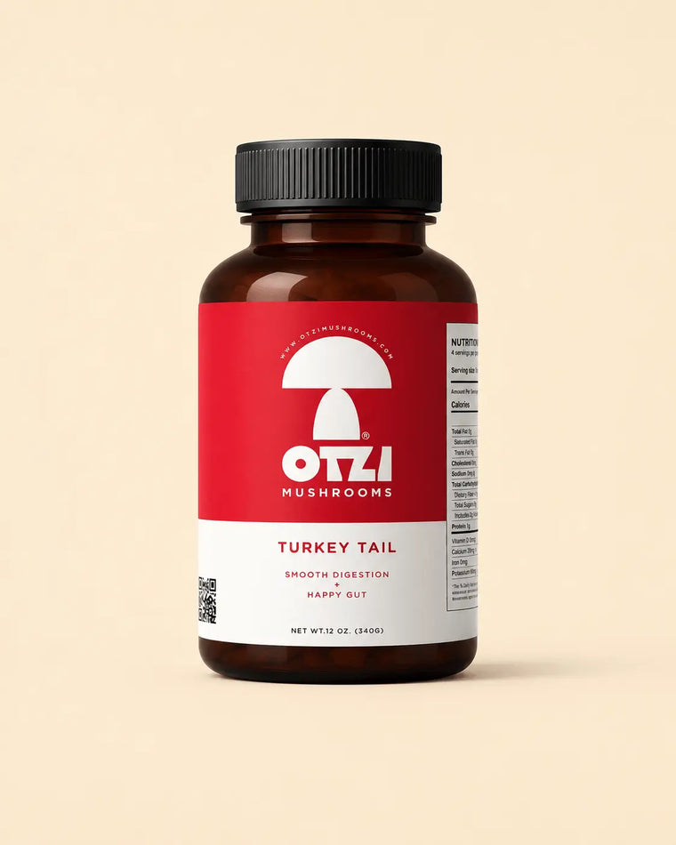 Turkey Tail Mushroom – Complément aux champignons pour digestion & bien-être intestinal