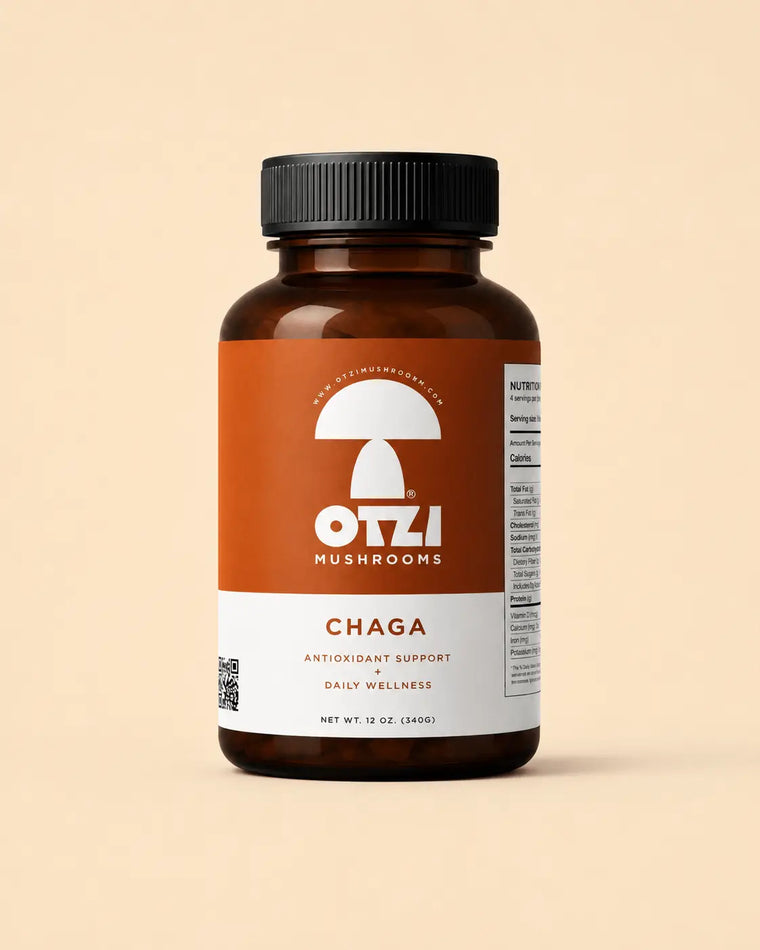 Chaga – Complément Antioxydant | OTZIMUSHROOM