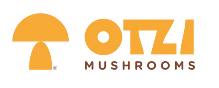 Otzi Mushroom